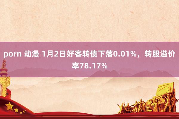 porn 动漫 1月2日好客转债下落0.01%，转股溢价率78.17%