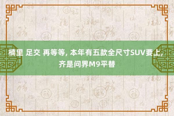 楠里 足交 再等等， 本年有五款全尺寸SUV要上， 齐是问界M9平替