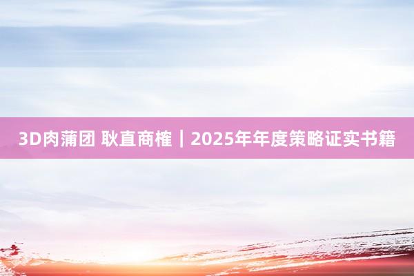 3D肉蒲团 耿直商榷｜2025年年度策略证实书籍