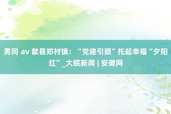 男同 av 歙县郑村镇：“党建引颈”托起幸福“夕阳红”_大皖新闻 | 安徽网