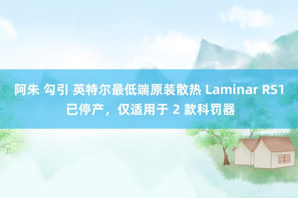 阿朱 勾引 英特尔最低端原装散热 Laminar RS1 已停产，仅适用于 2 款科罚器