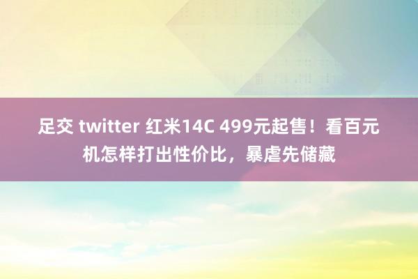 足交 twitter 红米14C 499元起售！看百元机怎样打出性价比，暴虐先储藏