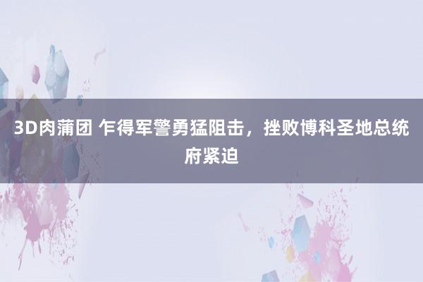 3D肉蒲团 乍得军警勇猛阻击，挫败博科圣地总统府紧迫