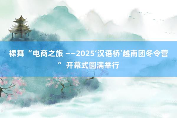 裸舞 “电商之旅 ——2025‘汉语桥’越南团冬令营” 开幕式圆满举行