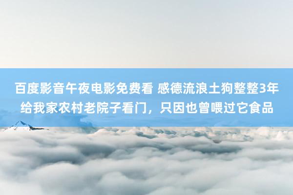 百度影音午夜电影免费看 感德流浪土狗整整3年给我家农村老院子看门，只因也曾喂过它食品