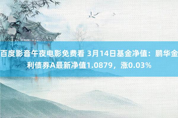 百度影音午夜电影免费看 3月14日基金净值：鹏华金利债券A最新净值1.0879，涨0.03%