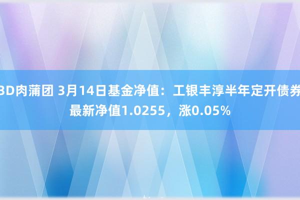 3D肉蒲团 3月14日基金净值：工银丰淳半年定开债券最新净值1.0255，涨0.05%