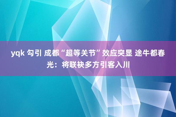 yqk 勾引 成都“超等关节”效应突显 途牛都春光：将联袂多方引客入川